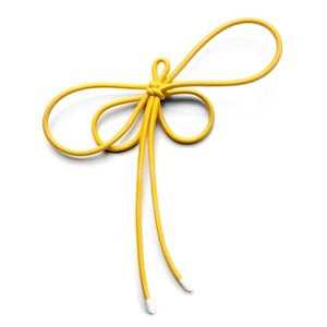 Insect Brooch